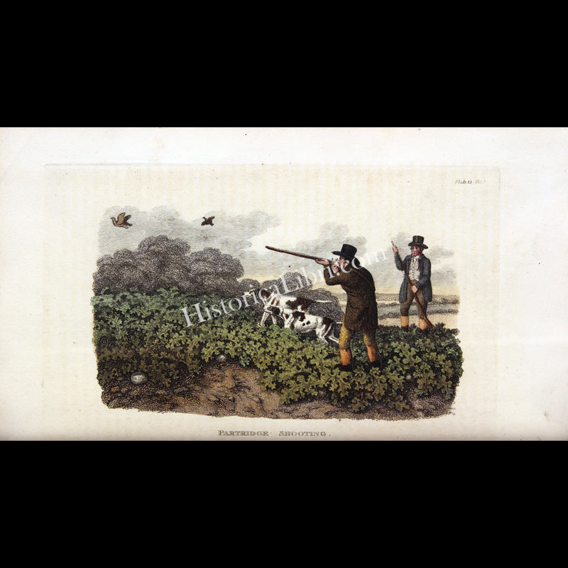 Ackermann's Repository 1809 March Plate 13 Partridge Shooting