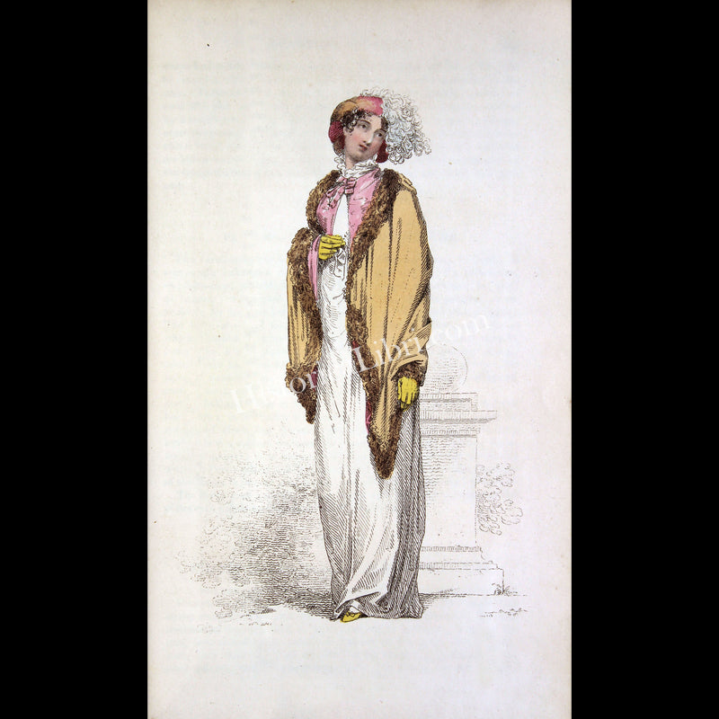 Ackermann's Repository 1812 December Plate 42 Pointers Morning Dress