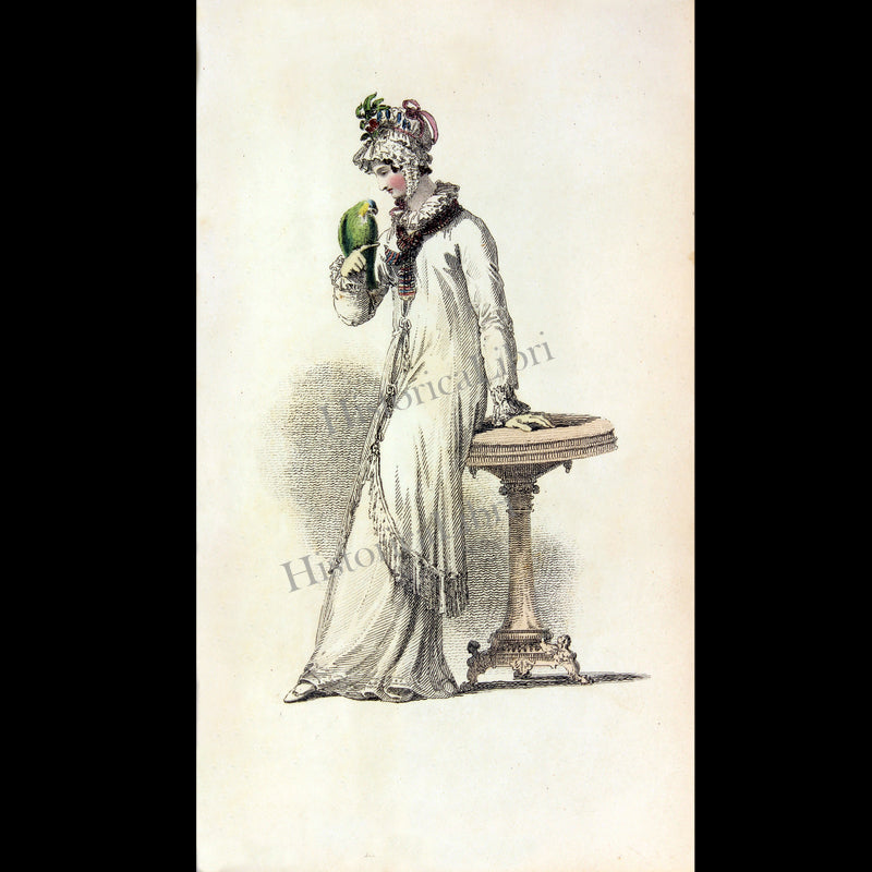 Ackermann's Repository 1815 April Plate 19 Morning Dress