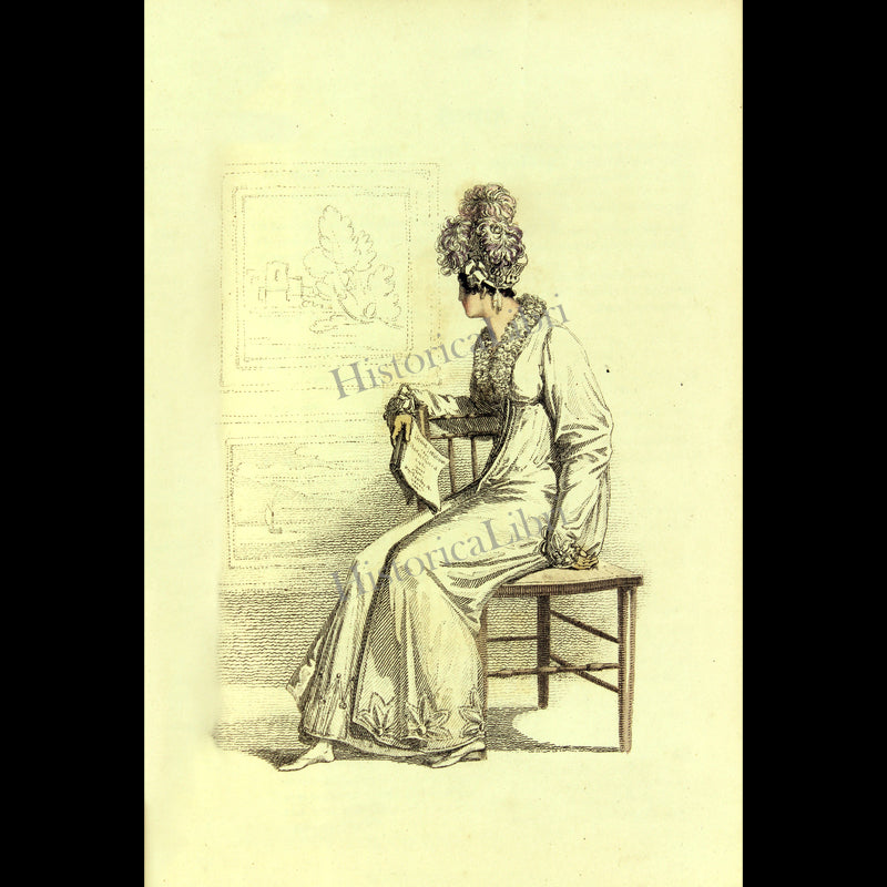 Ackermann's Repository 1815 June Plate 29 Carriage Dress
