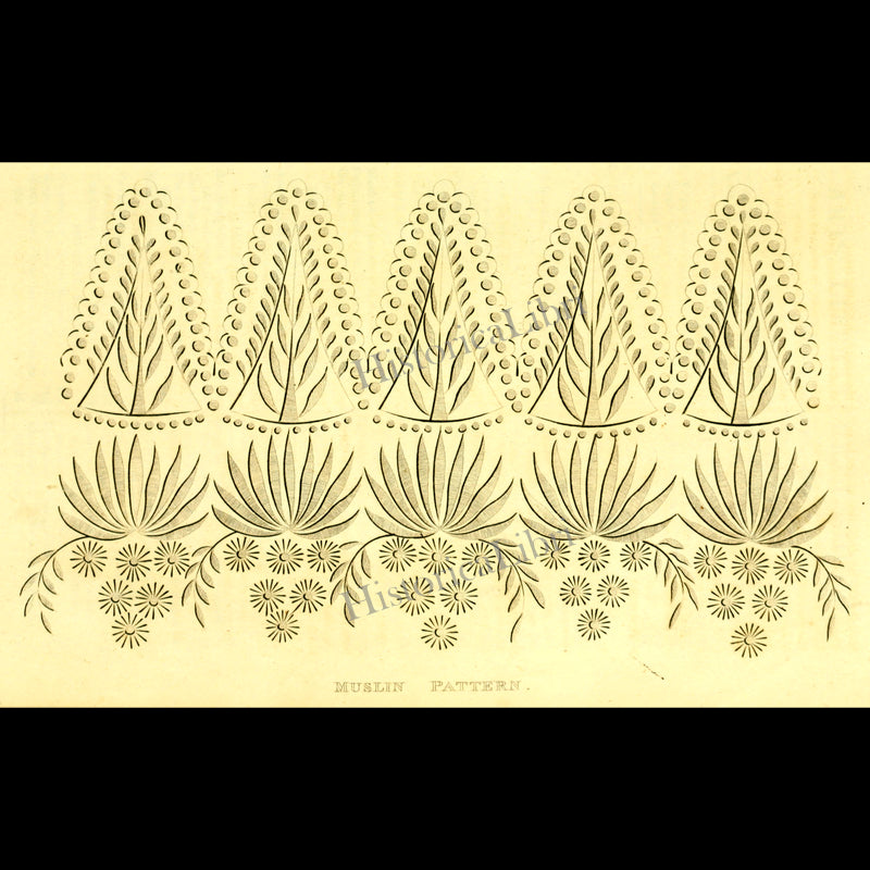 Ackermann's Repository 1816 February Plate 12 Muslin Pattern
