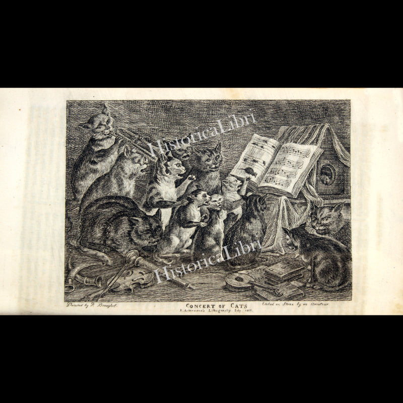 Ackermann's Repository 1817 July Plate 5 Concert of Cats