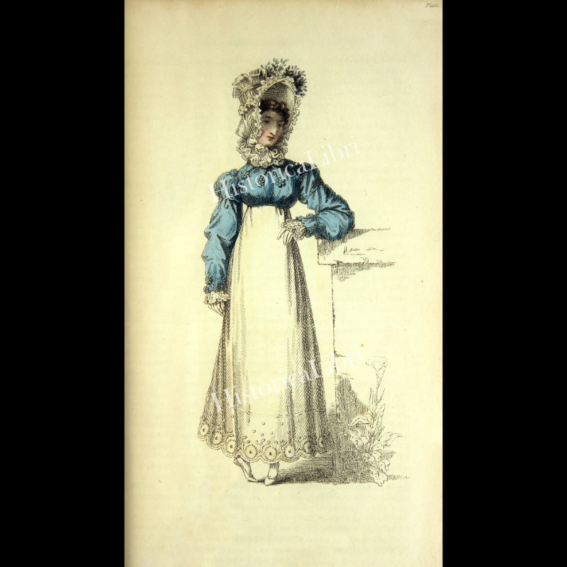 Ackermann's Repository 1817 October Plate 22 Promenade Dress