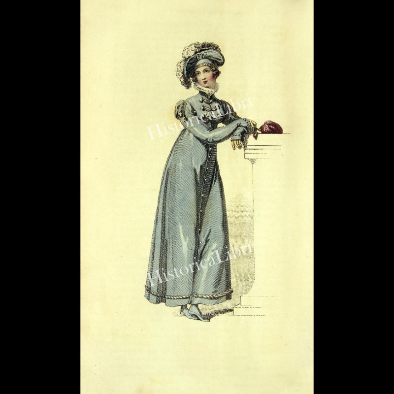 Ackermann's Repository 1818 April Plate 22 Walking Dress