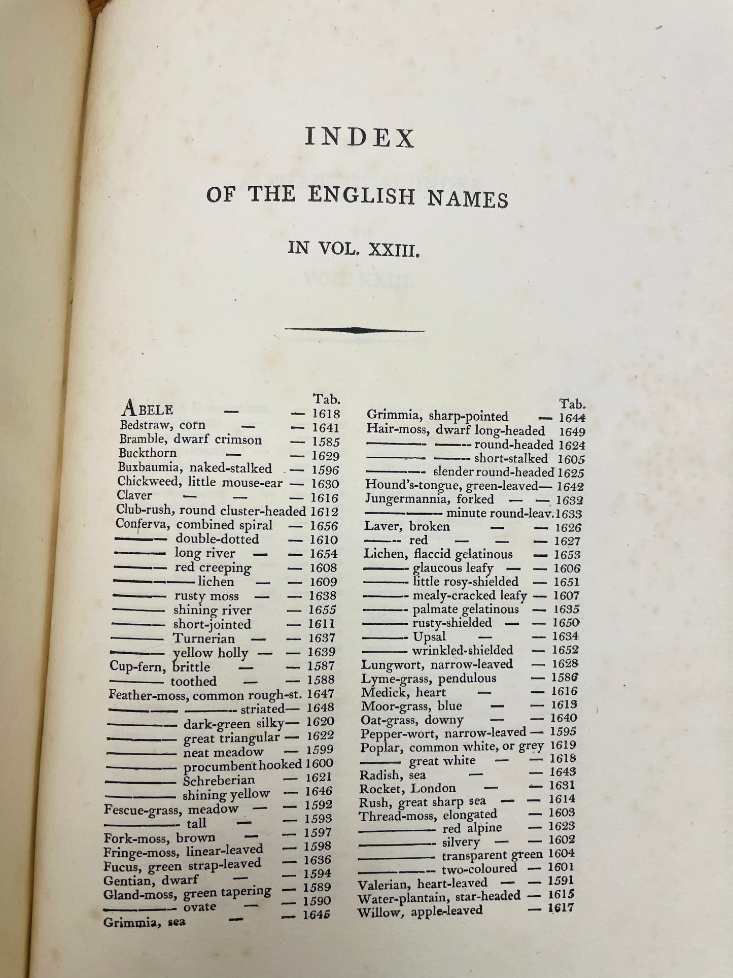 English Botany by James Sowerby Vol.23 - 1806