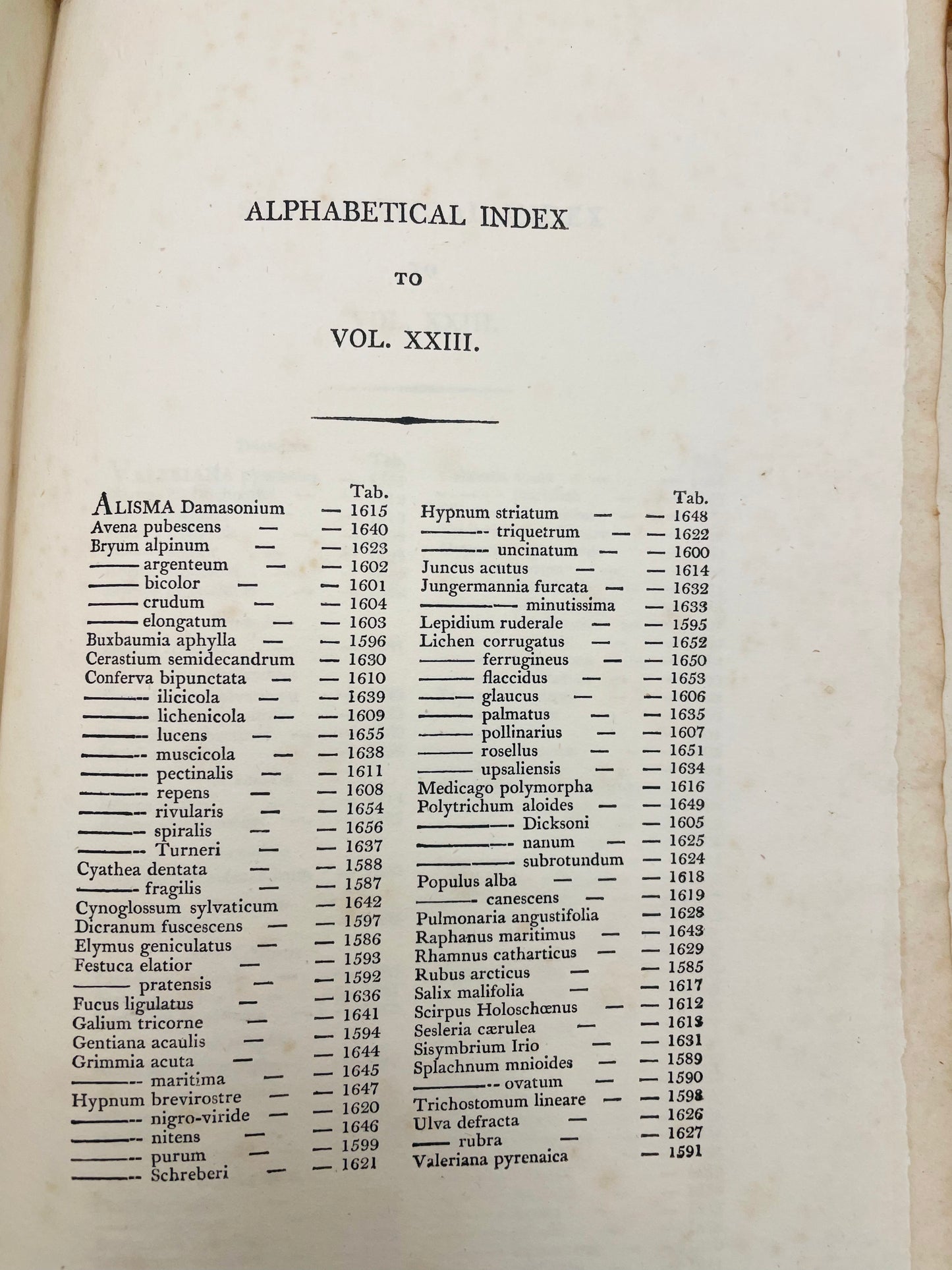 English Botany by James Sowerby Vol.23 - 1806