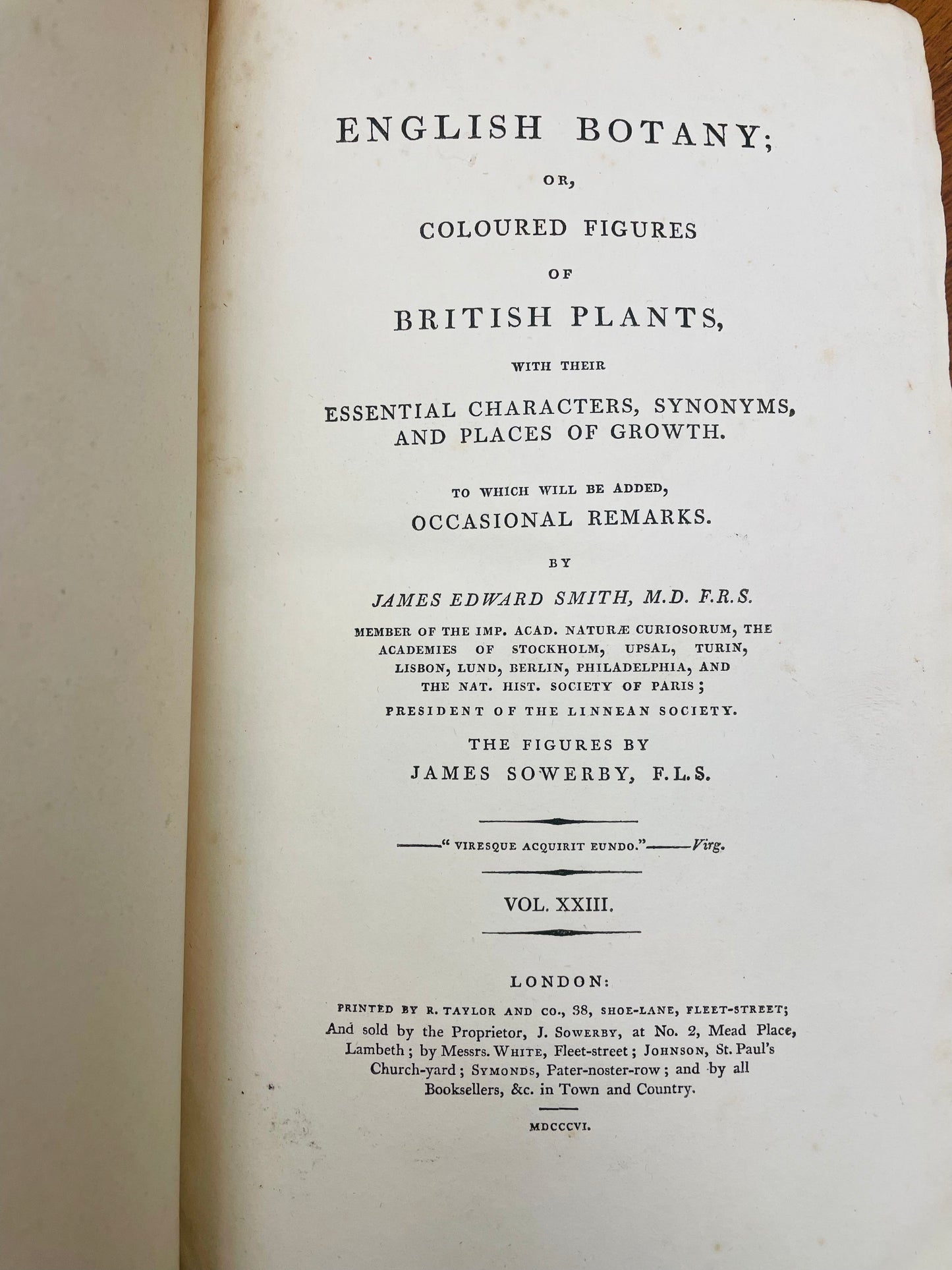English Botany by James Sowerby Vol.23 - 1806