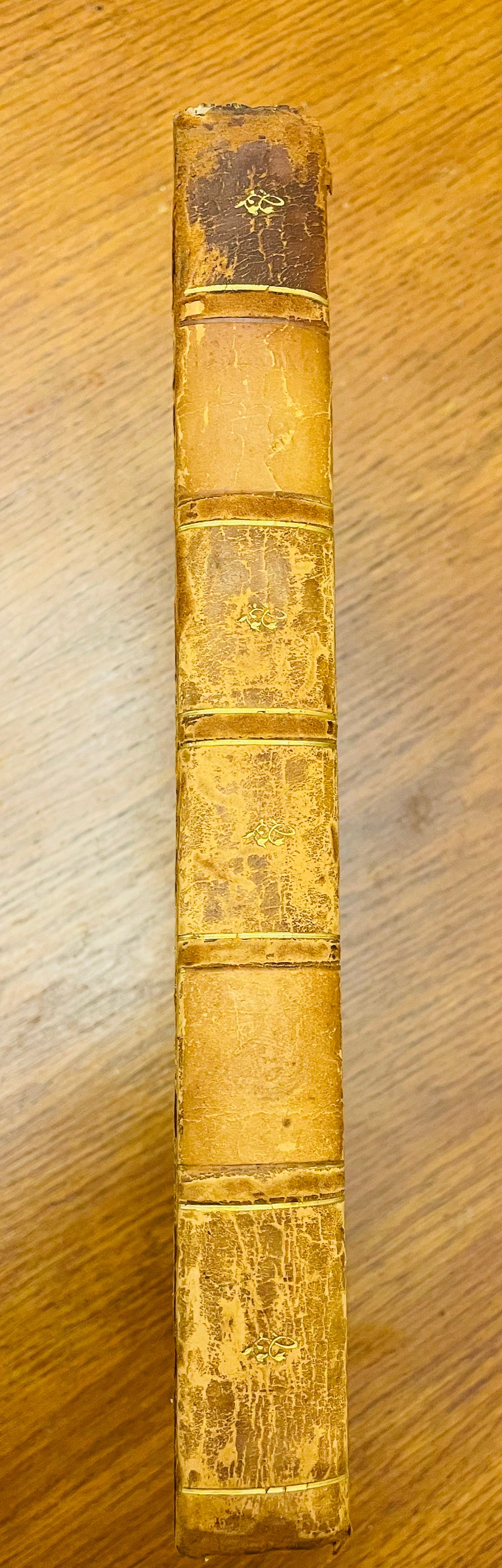 English Botany by James Sowerby Vol.23 - 1806