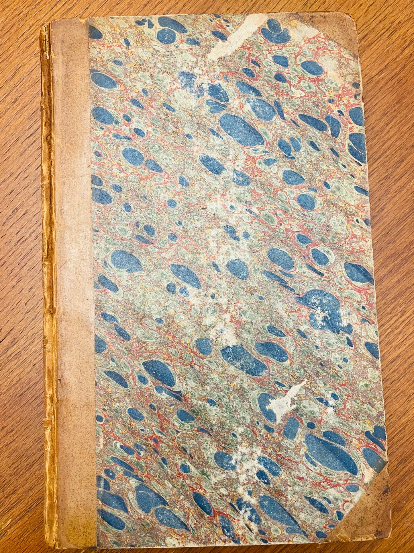 English Botany by James Sowerby Vol.23 - 1806