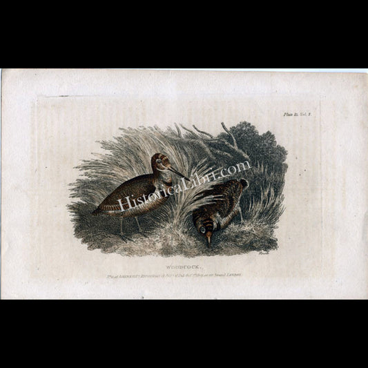 Ackermann's Repository 1809 October Plate 21 Woodcut