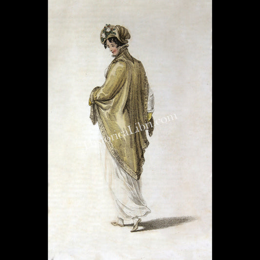 Ackermann's Repository 1809 May Plate 24 Walking Dress