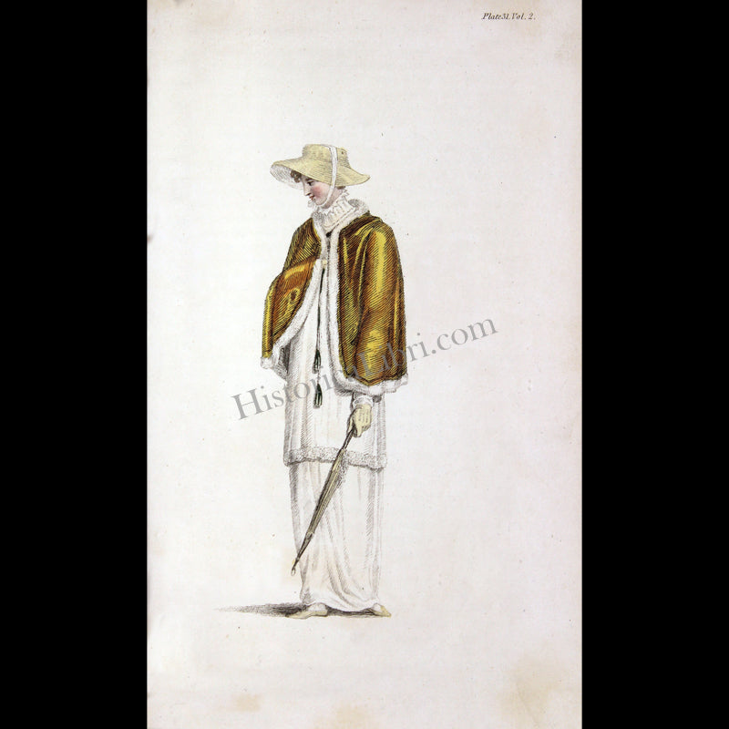 Ackermann's Repository 1809 November Plate 31 Morning Walking Dress