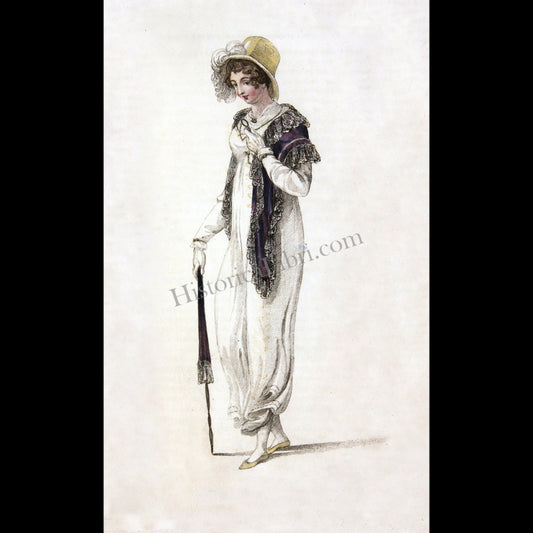 Ackermann's Repository 1809 October Plate 25 Walking Dress