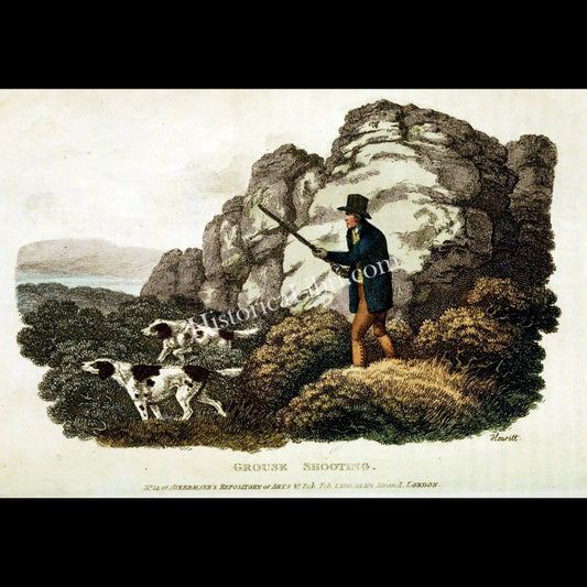 Ackermann's Repository 1810 February Plate 7 Grouse Shooting