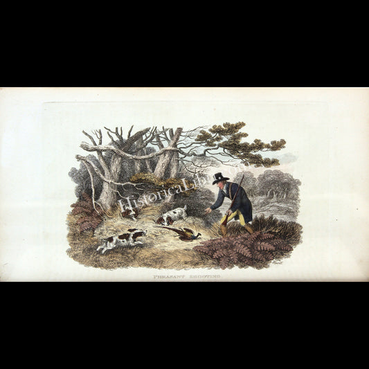 Ackermann's Repository 1810 April Plate 21 Pheasant Shooting