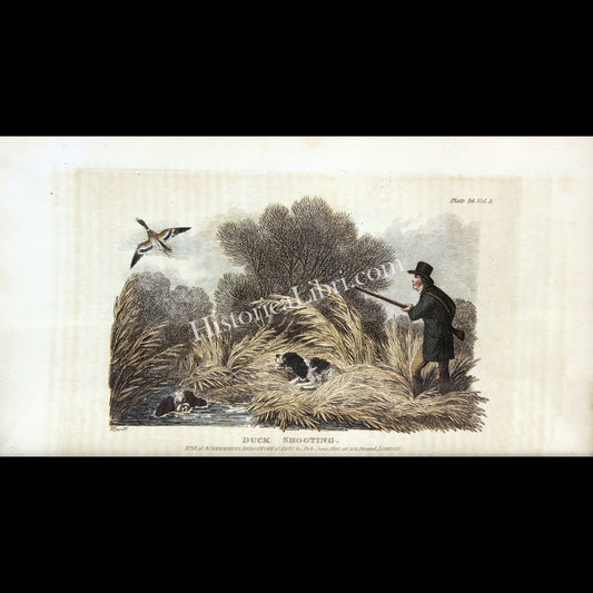 Ackermann's Repository 1810 June Plate 34 Duck Shooting