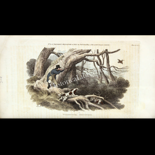 Ackermann's Repository 1810 May Plate 28 Woodcock Shooting