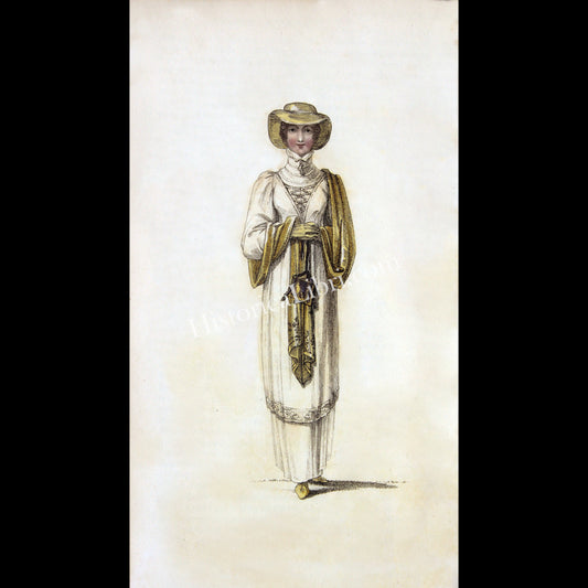 Ackermann's Repository 1810 May Plate 31 Walking Dress