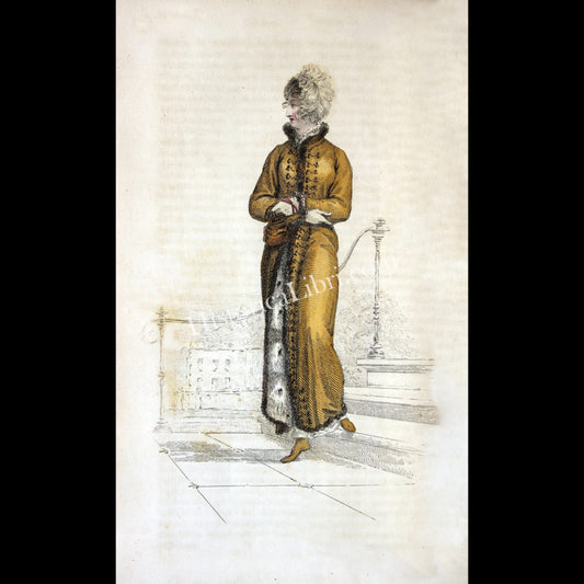 Ackermann's Repository 1811 November Plate 28 Walking Dress