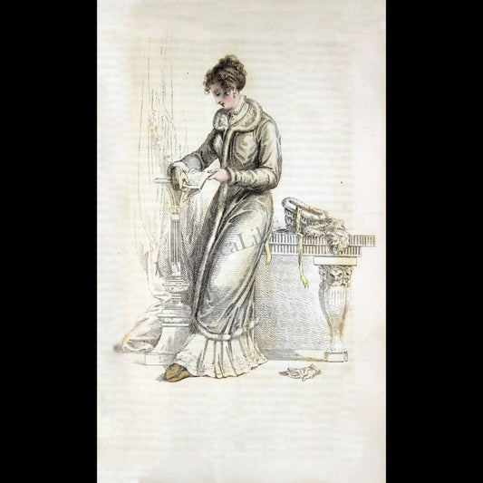 Ackermann's Repository 1811 November Plate 29 Carriage Dress