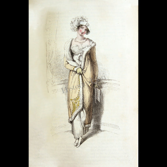 Ackermann's Repository 1813 March Plate 22 Opera Dress