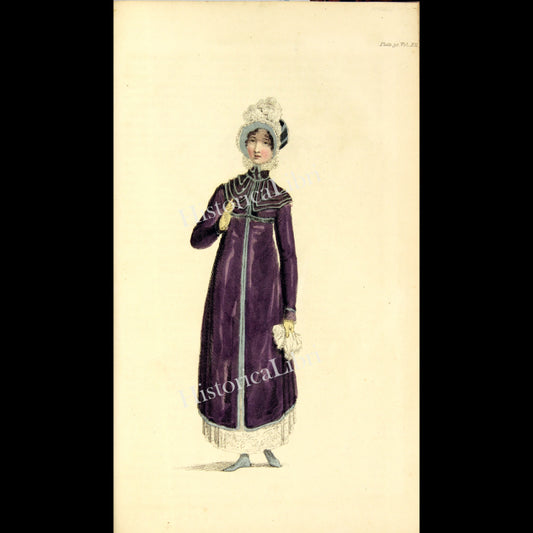 Ackermann's Repository 1814 December Plate 30 Walking Dress