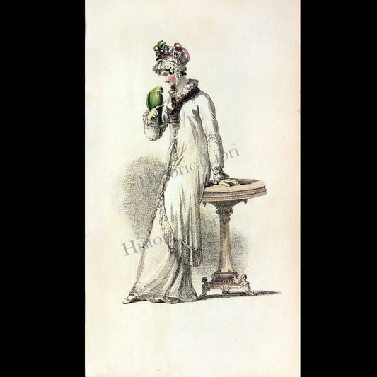 Ackermann's Repository 1815 April Plate 19 Morning Dress