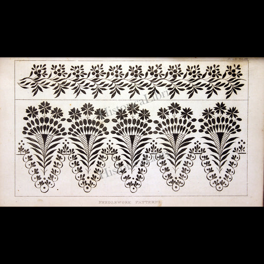 Ackermann's Repository 1815 June Plate 31 Needlework Patterns