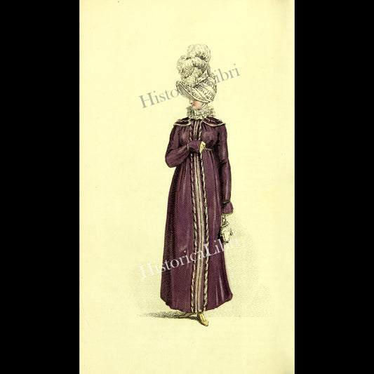 Ackermann's Repository 1815 March Plate 13 Walking Dress