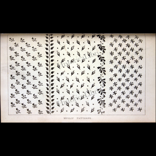 Ackermann's Repository 1815 November Plate 30 Muslin Patterns