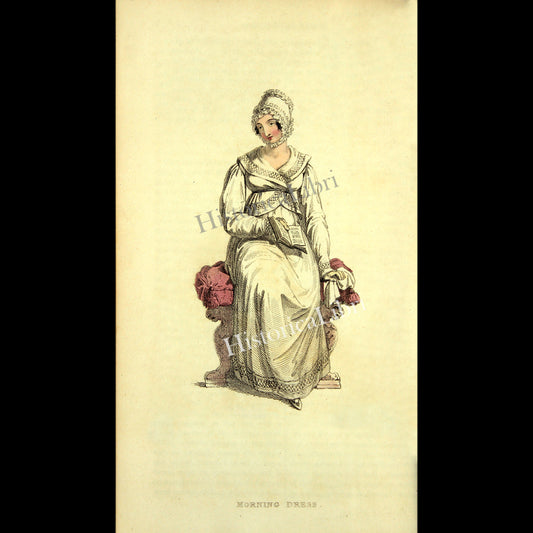 Ackermann's Repository 1815 November Plate 27 Morning Dress