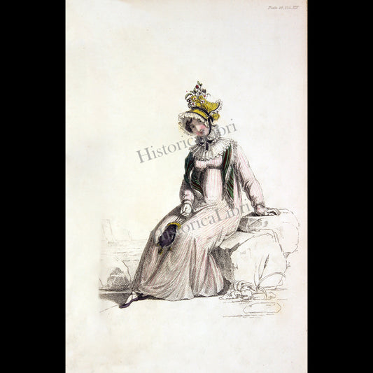 Ackermann's Repository 1815 November Plate 28 Promenade Dress