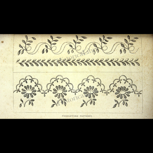 Ackermann's Repository 1815 October Plate 24 Needlework Pattern