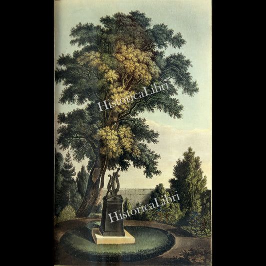 Ackermann's Repository 1815 Septrember Plate 14 Theodore Koerner's Monument