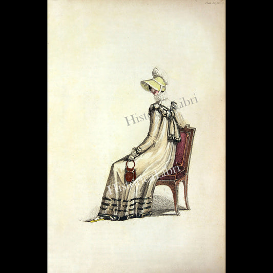 Ackermann's Repository 1816 December Plate 35 Carriage Dress