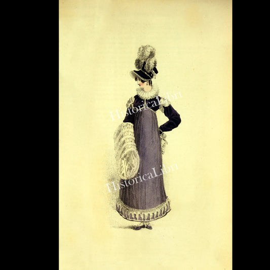 Ackermann's Repository 1816 February Plate 11 Walking Dress