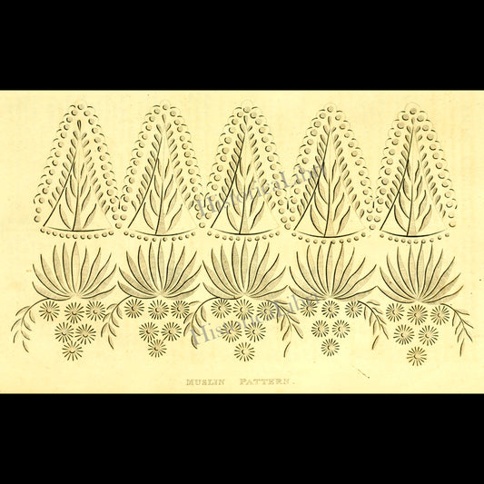 Ackermann's Repository 1816 February Plate 12 Muslin Pattern