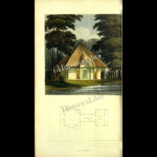 Ackermann's Repository 1816 June Plate 31 A Dairy