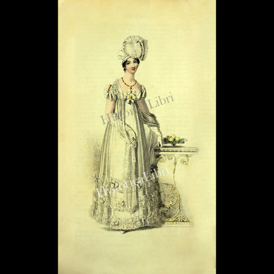 Ackermann's Repository 1816 May Plate 28 Evening Dress