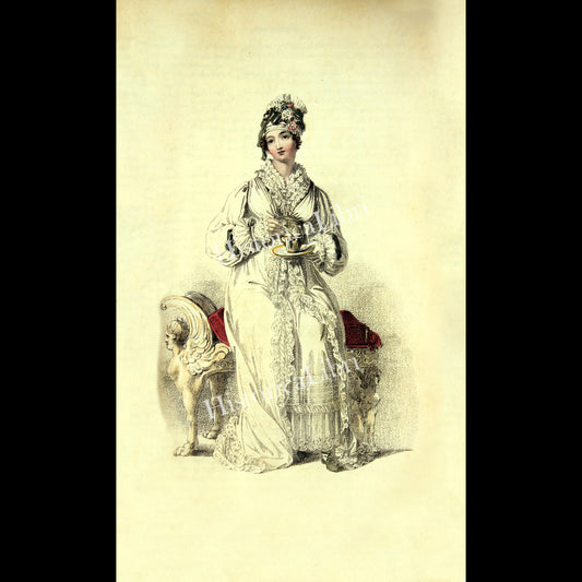 Ackermann's Repository 1816 May Plate 29 Morning Dress