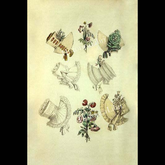 Ackermann's Repository 1817 August Plate 9 Parisian Bonnets