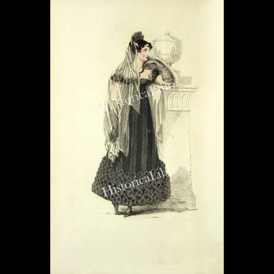 Ackermann's Repository 1817 December Plate 33 Evening Dress