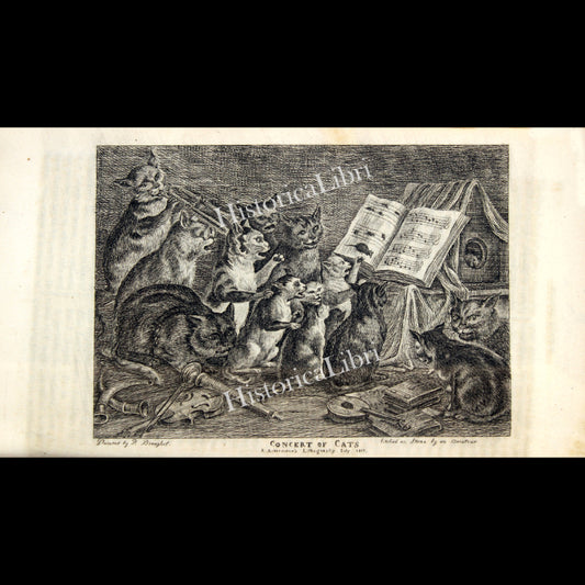 Ackermann's Repository 1817 July Plate 5 Concert of Cats