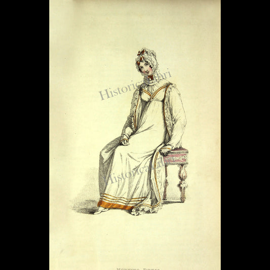 Ackermann's Repository 1817 May Plate 30 Morning Dress