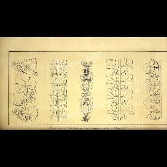 Ackermann's Repository 1817 May Plate 31 Specimen of R. Ackerann's Lithography
