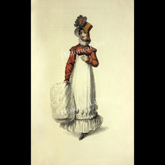 Ackermann's Repository 1817 November Plate 28 Walking Dress
