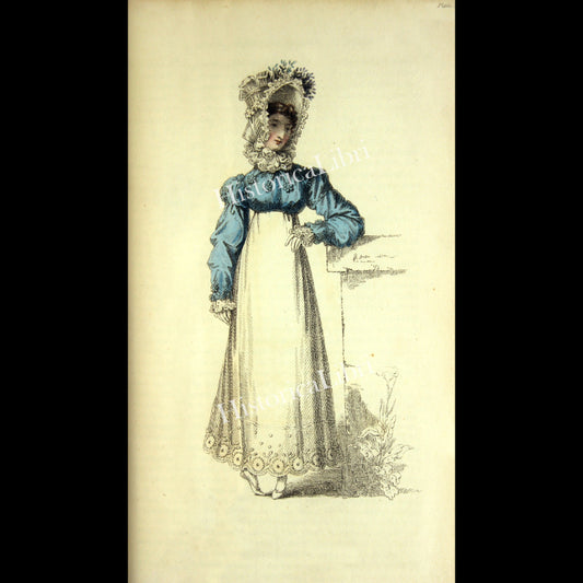 Ackermann's Repository 1817 October Plate 22 Promenade Dress