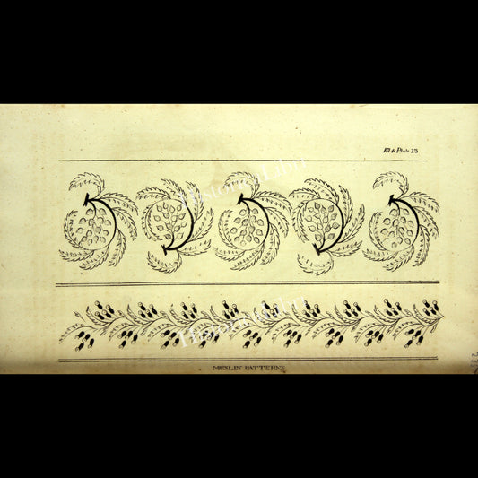 Ackermann's Repository 1817 October Plate 23 Muslin Patterns