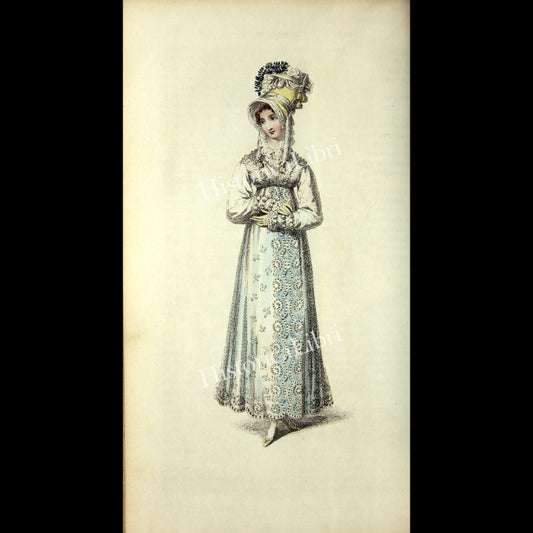 Ackermann's Repository 1817 September Plate 18 Brighton Walking Dress