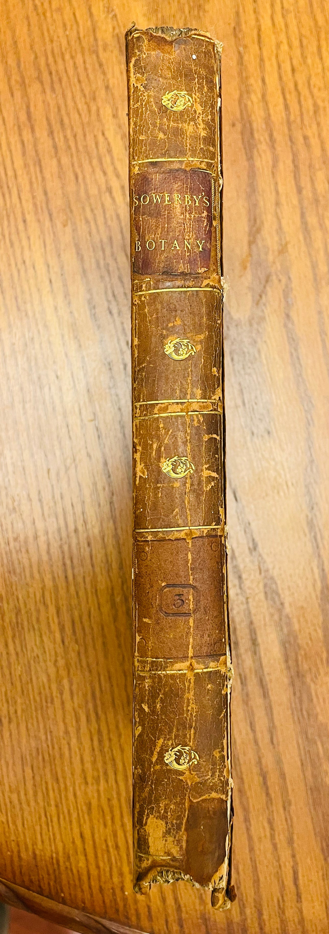 English Botany by James Sowerby Vol.3 - 1794